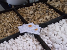 Ʒ - AKROLITHOS natural stones